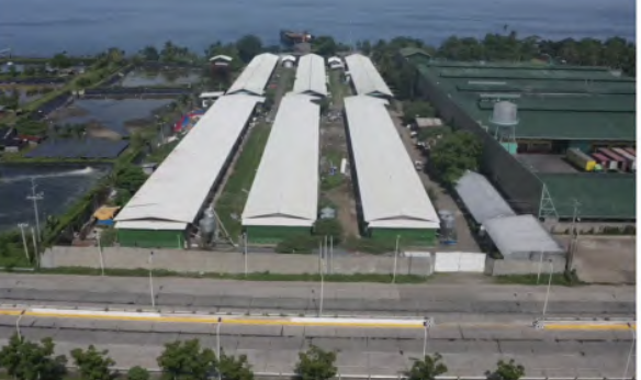 Coronon Broiler Farm