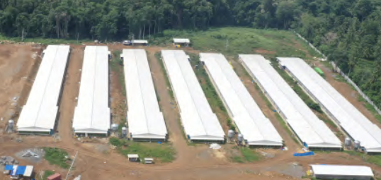 Darong Broiler Farm