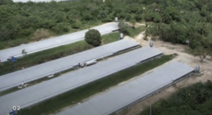 Mayuro Broiler Farm